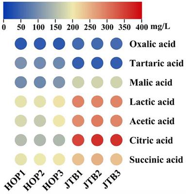 Adding functional properties to beer with jasmine tea extract